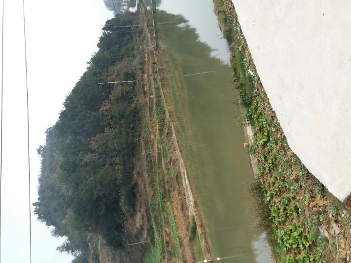 水上人家钓鱼山庄