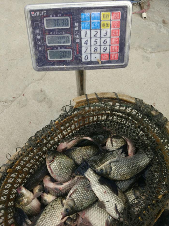 白藤湖休闲钓鱼场