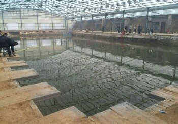 荥阳欣园温室垂钓园