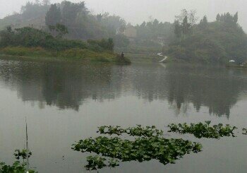 西华县沙河流域