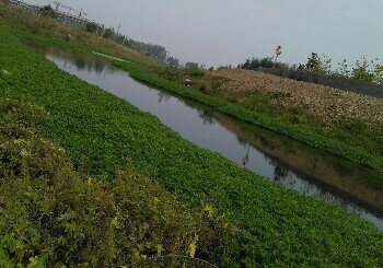 西仲公园西南侧小河