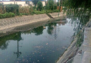 黄泛区农场三八河