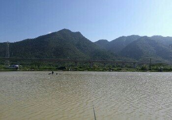 鼎湖钓鱼场