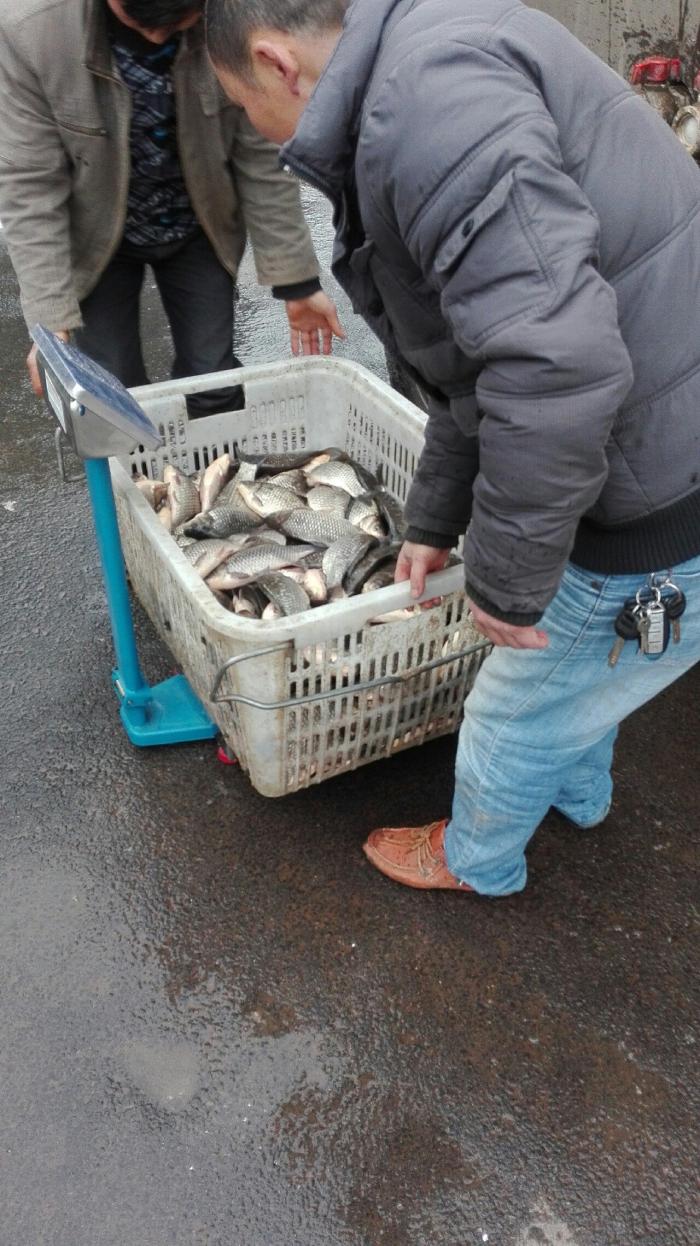 官庄清水垭垂钓