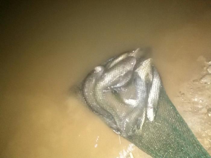 西宝高速桥西沙坑