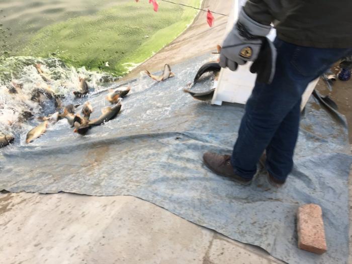 北塬人家垂钓园