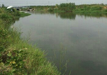 江都京杭运河支流