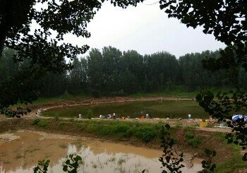 包厂生态鱼庄垂钓园