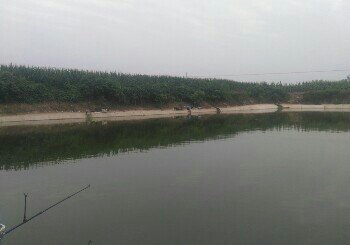 鑫山农业专业合作社垂钓园