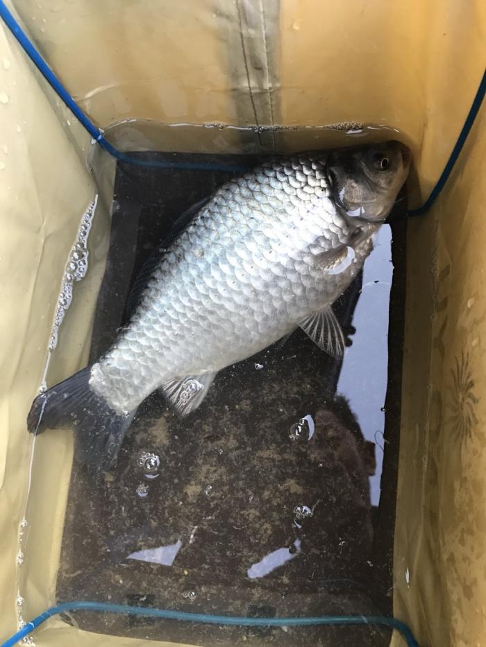 洪家银春垂钓中心