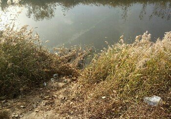 养鱼坑排水沟