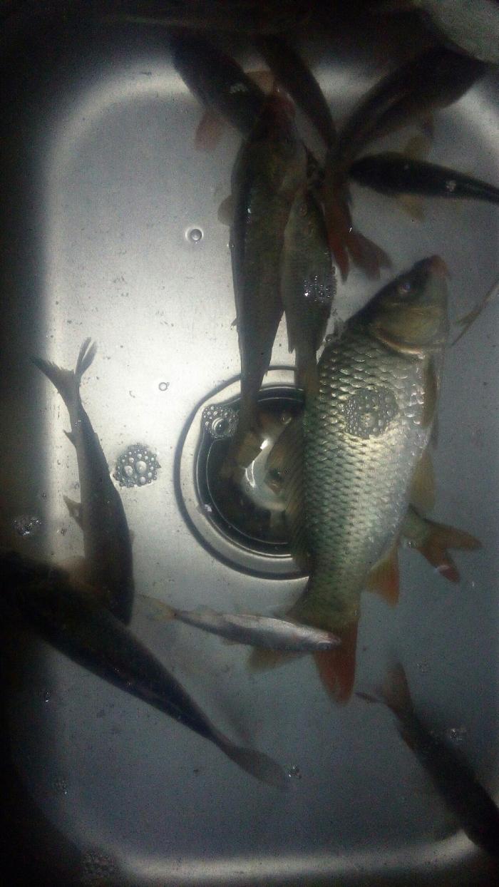 李滩水闸（蕙济河）