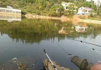 同福生态钓鱼场