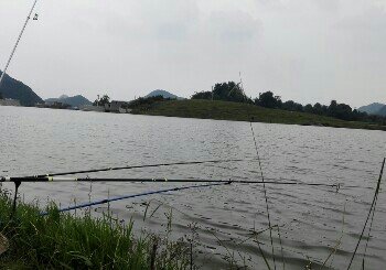 王二山花菜水库