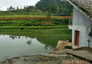 五一村鱼塘
