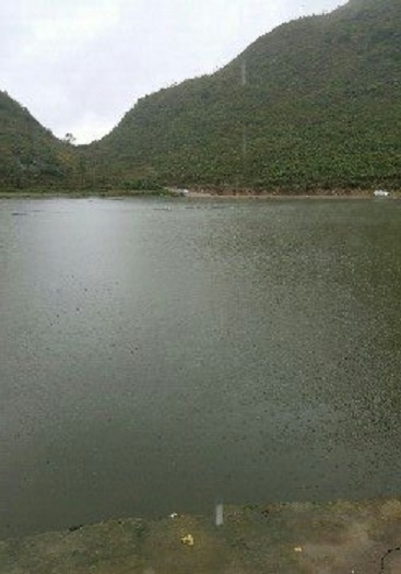 这旗海子垂钓场