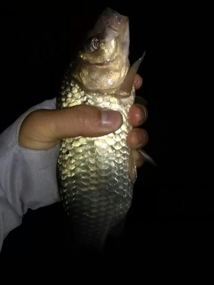 南京南街立交桥