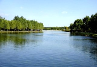 金卫城河主河道