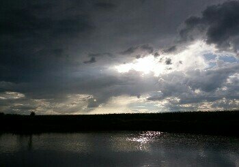 太荣村陈家鱼塘