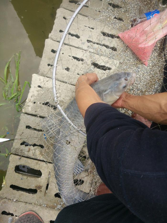 东峰钓鱼场东方垂钓俱乐部