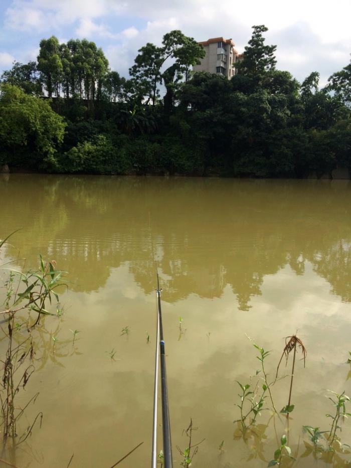 武鸣河文江路段