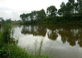 泸县天兴镇观音桥水库