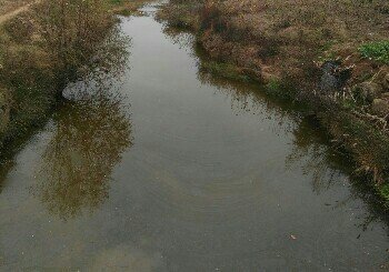 洛水寺河沟