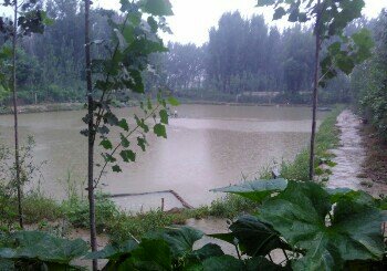 鱼来鱼网垂钓园