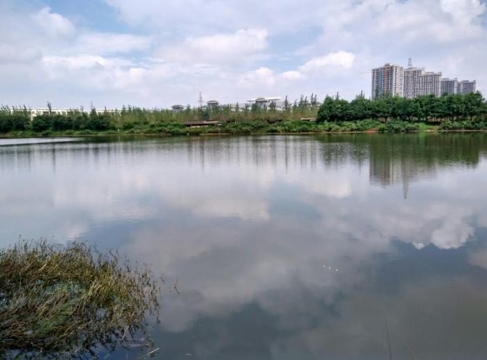 雨花生态园鱼塘