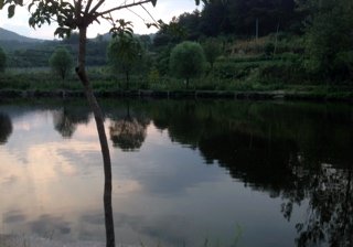 飞机场垂钓中心