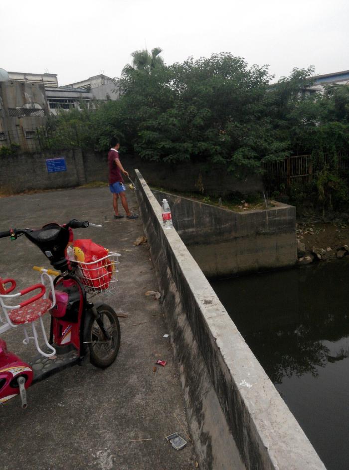 迎宾馆公园水塘