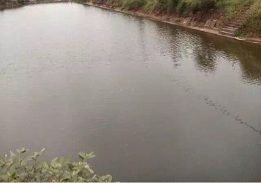 付家河堰头老王钓场