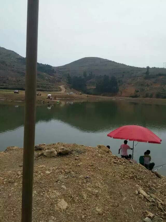 竹园镇龙水垂钓