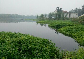 漯河湿地公园