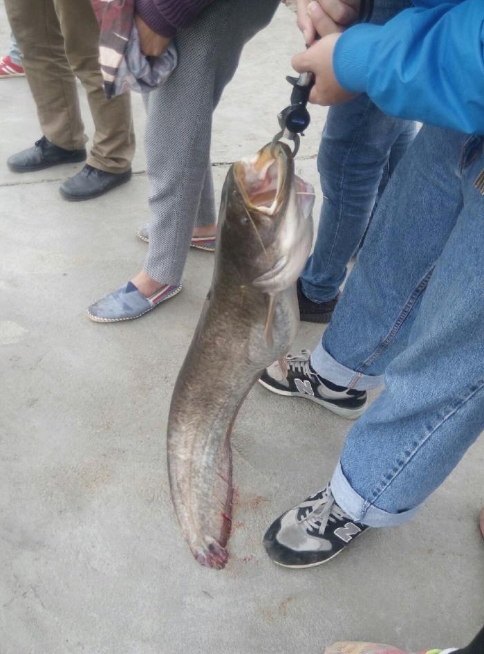 火山泉休闲农庄