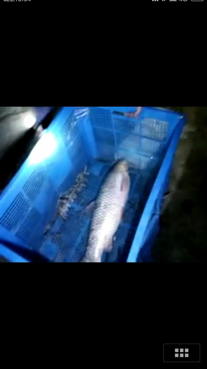 袁大头垂钓中心