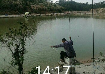 红云高密度钓场