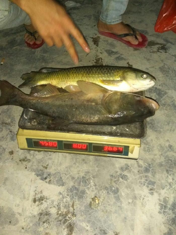 吉隆汉塘东岭水库