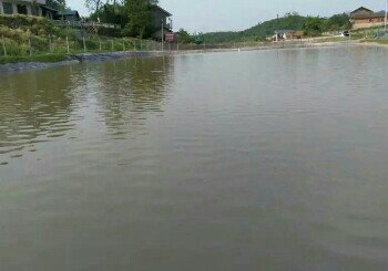 拖船溪休闲钓场