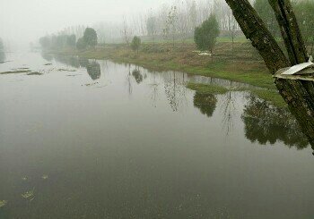 安济河肖楼流域