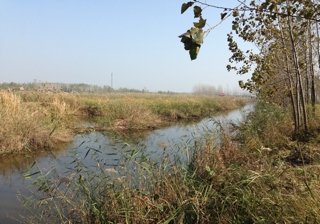 阎潭引黄南送水干线