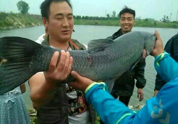 北大庄垂钓中心