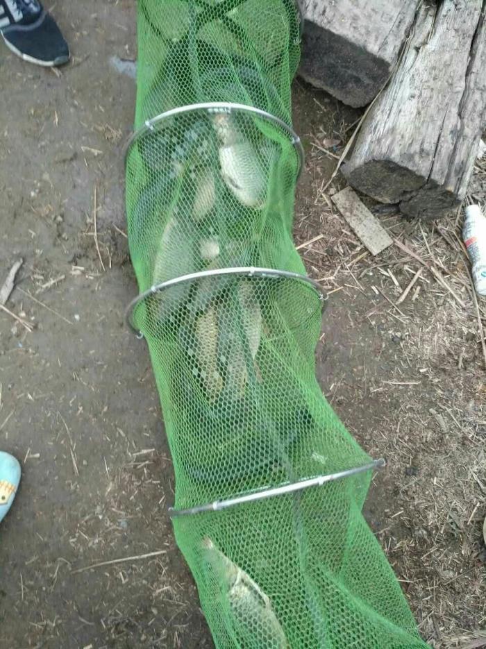 花溪白马井鱼塘