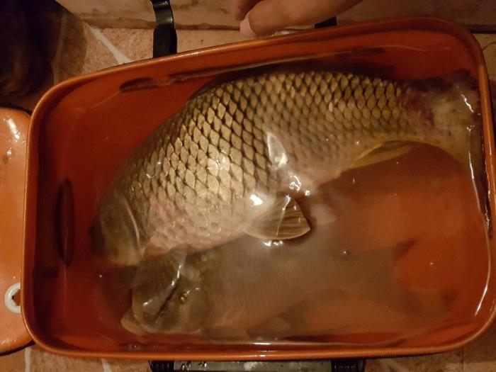 观音埔湿地公园