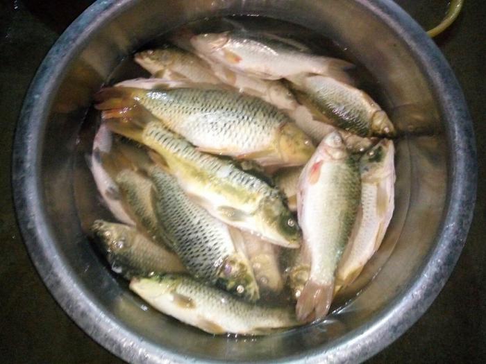 大宁庄兄弟垂钓中心