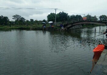 九江敦根鱼乐场