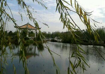 道滘湿地公园钓鱼场