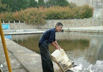 龙王塘樱花园钓塘