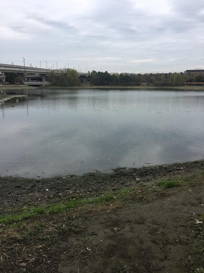 何家桥金牛六支渠