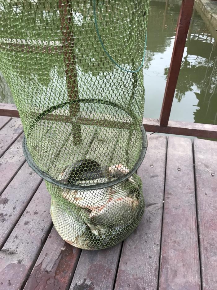 印象花园生态鱼塘